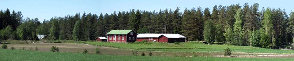 Finnland Meer
